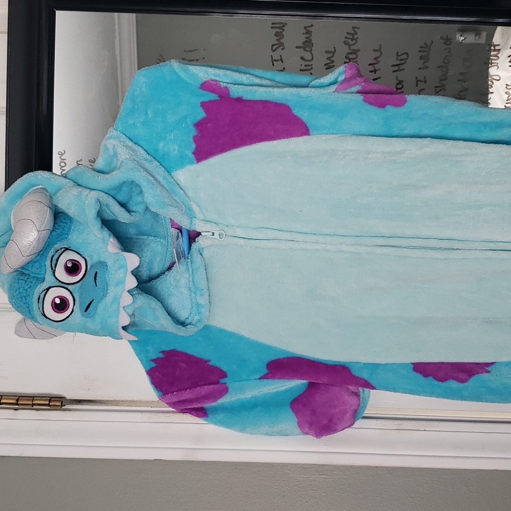 Sully Costume